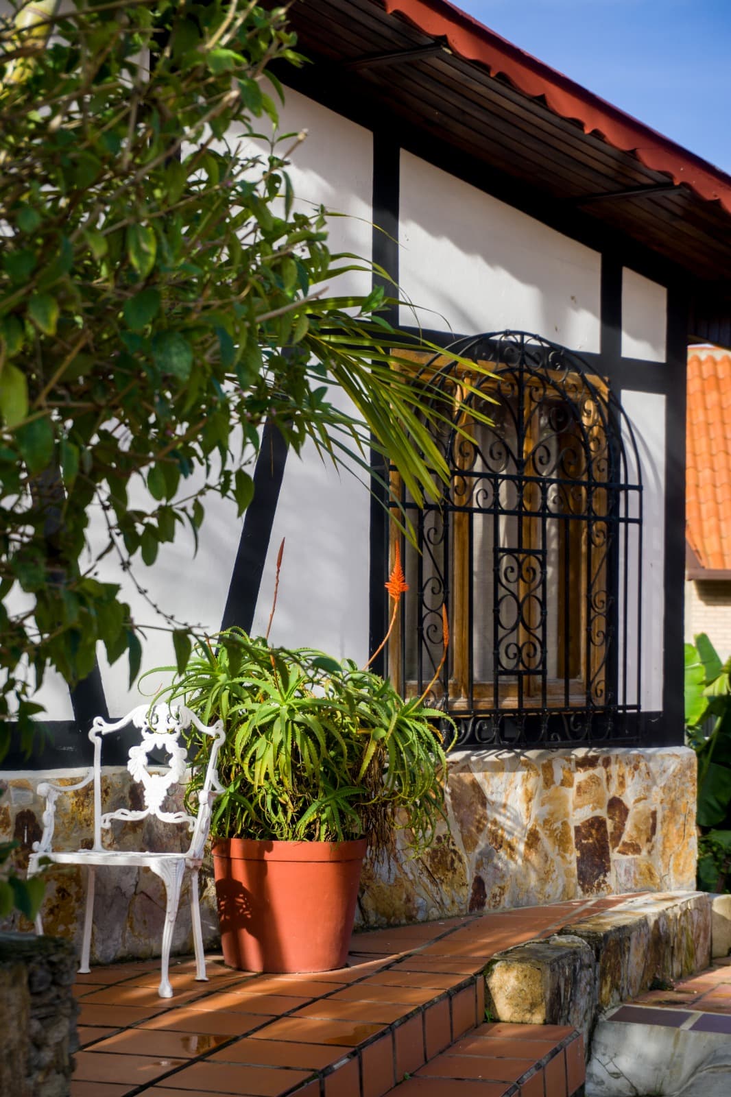 Familiar (Pax 4) -  Cambural