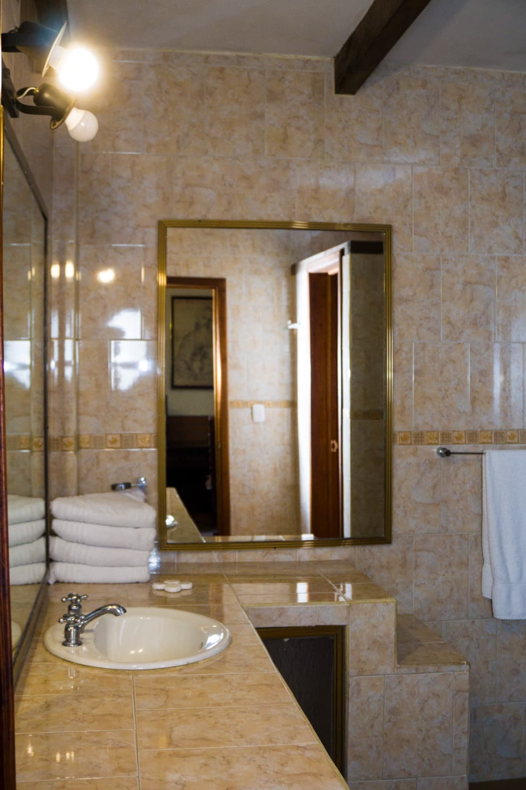 Familiar (Pax 4) -  Las Rosas miniatura 7