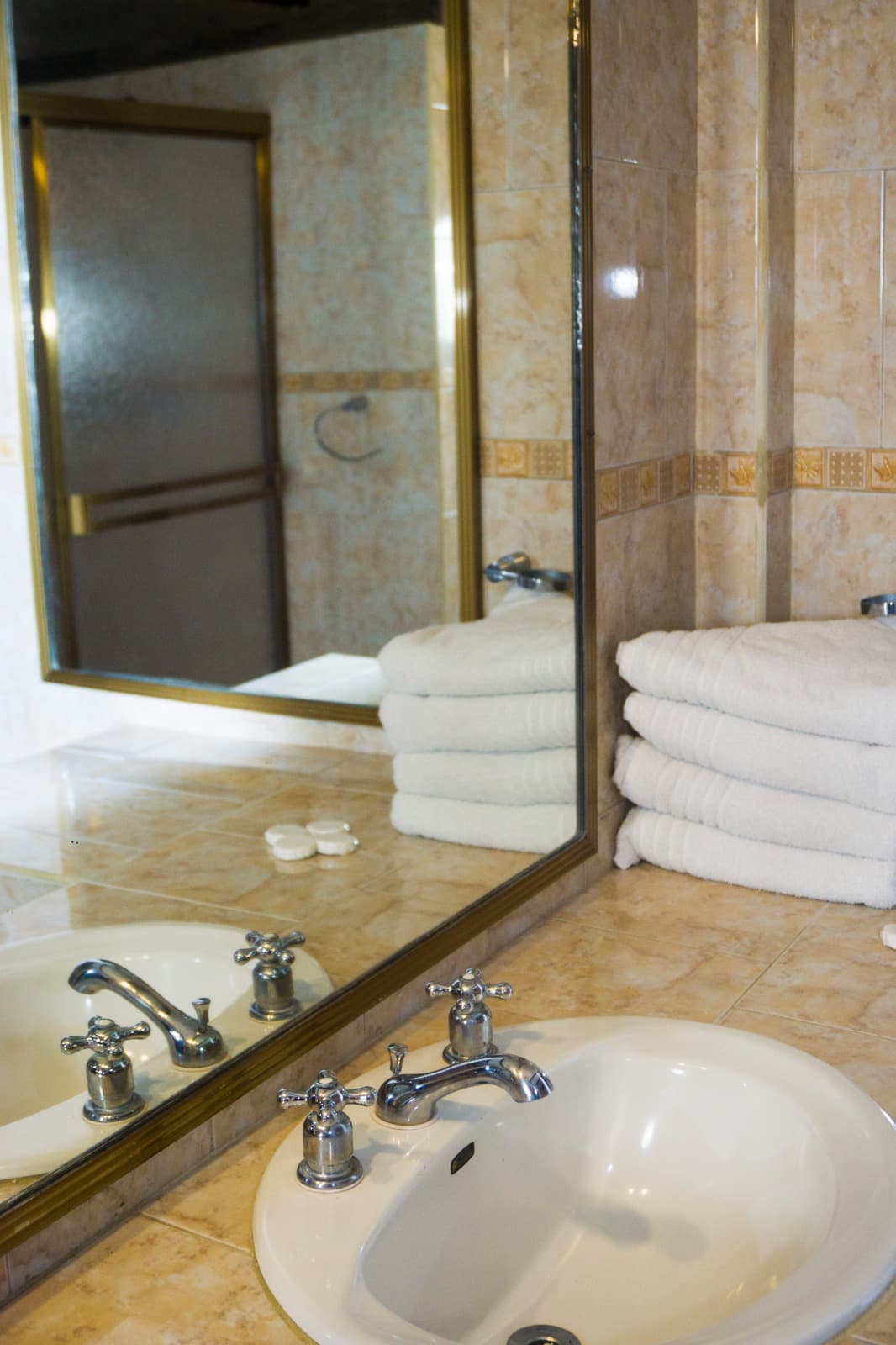 Familiar (Pax 4) -  Las Rosas miniatura 8