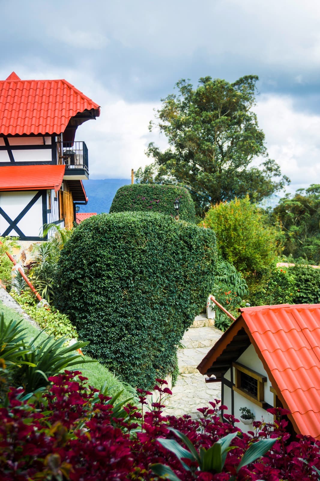 Familiar (Pax 4) -  Las Rosas miniatura 9