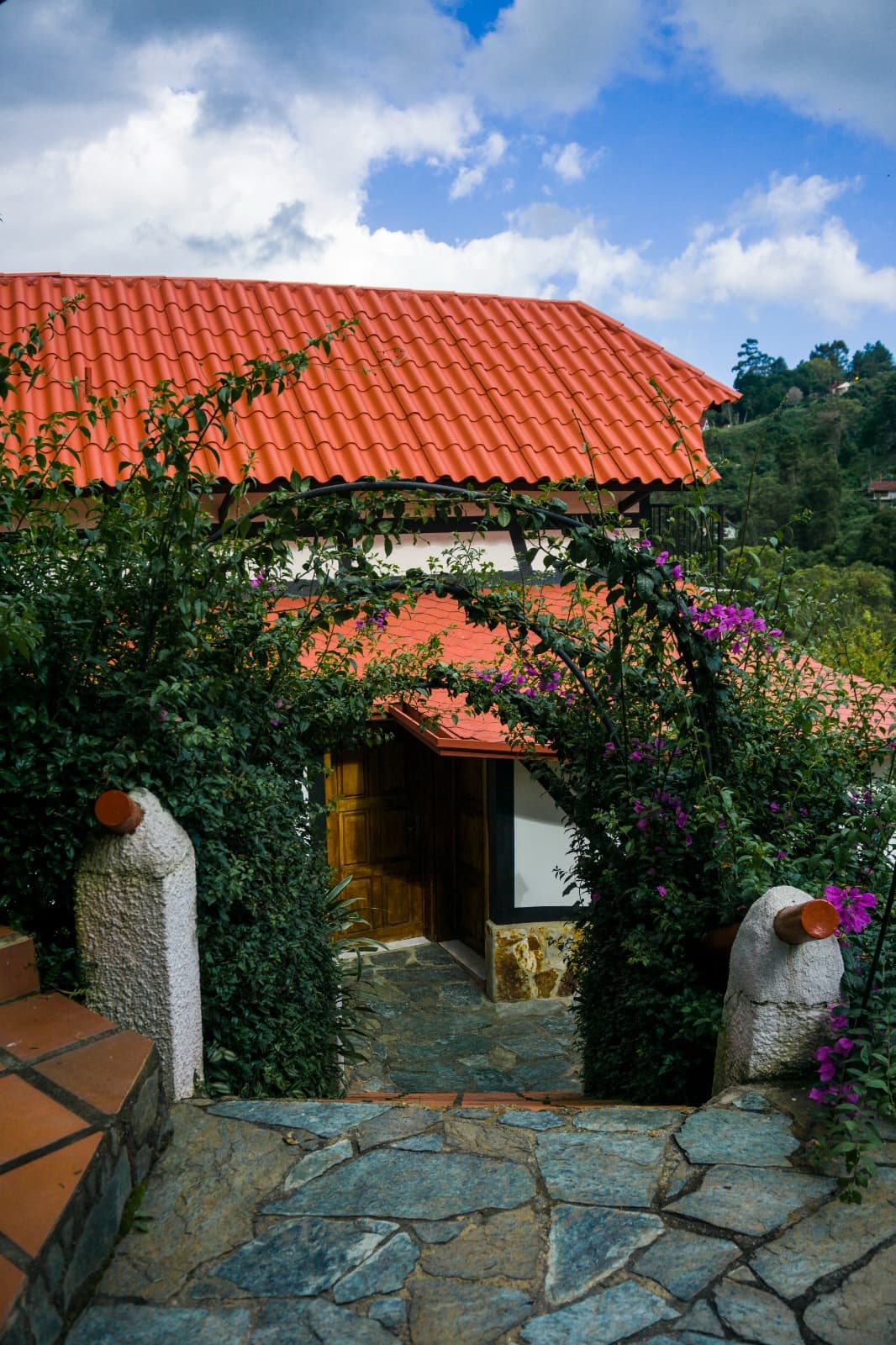 Familiar (Pax 4) -  Miracielo miniatura 8