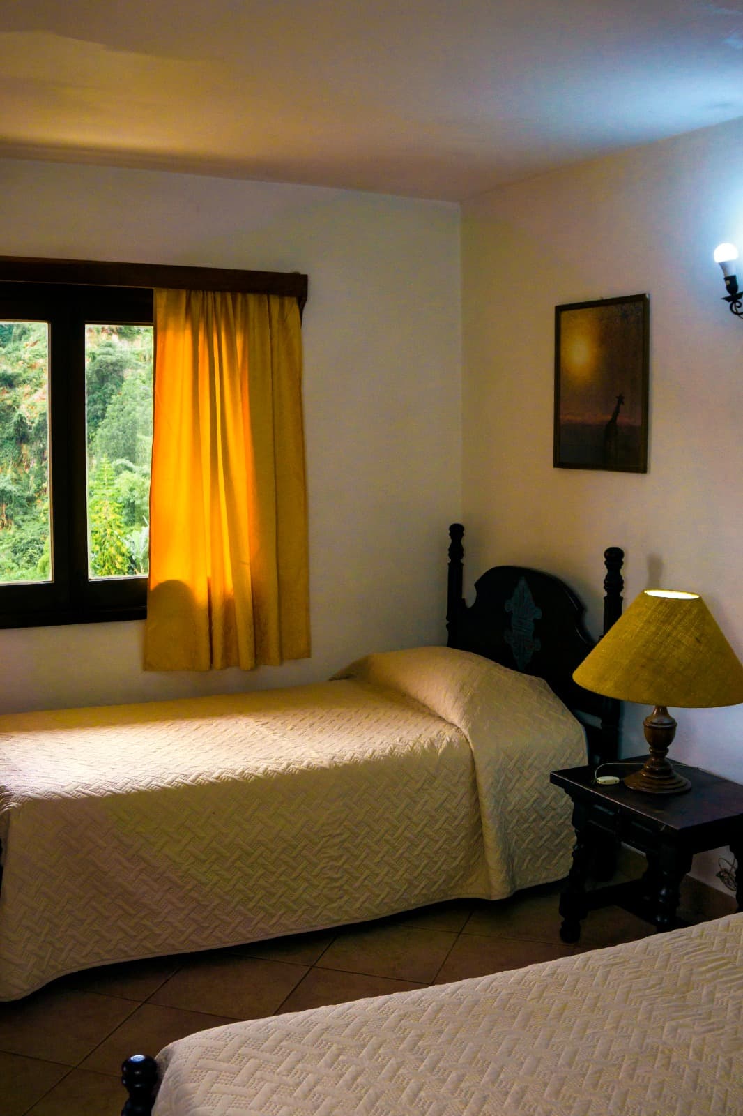 Familiar (Pax 5) -  Baja Hortensia miniatura 4