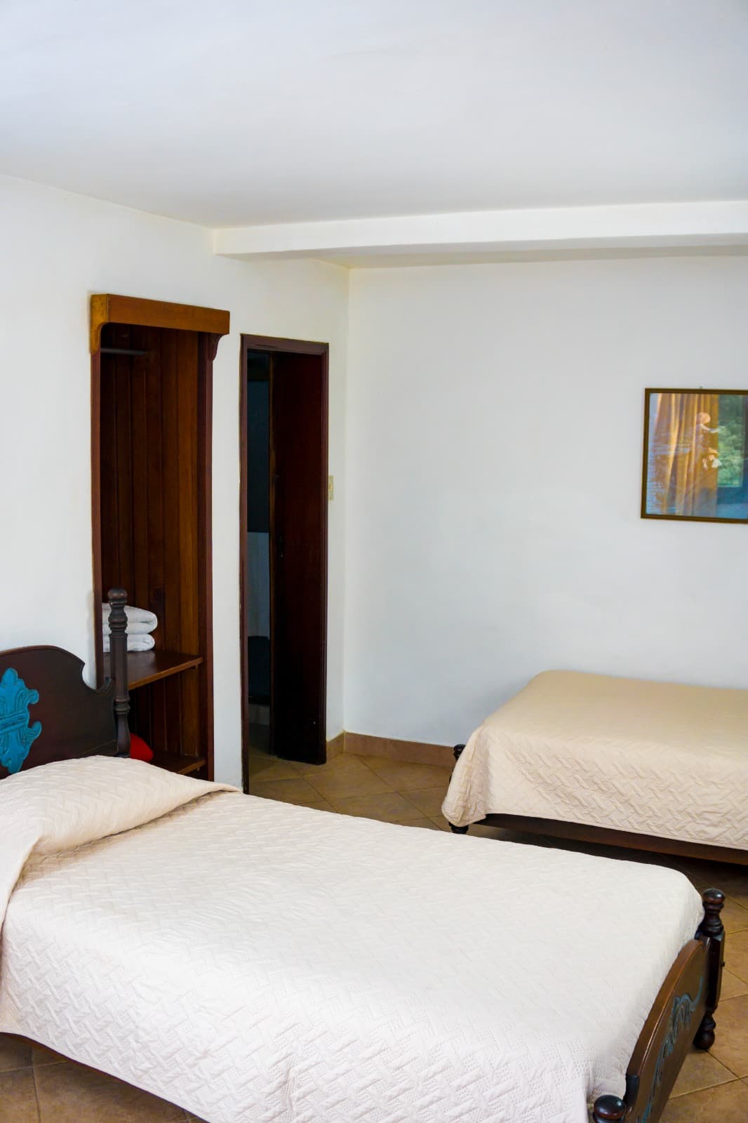 Familiar (Pax 5) -  Baja Hortensia miniatura 5