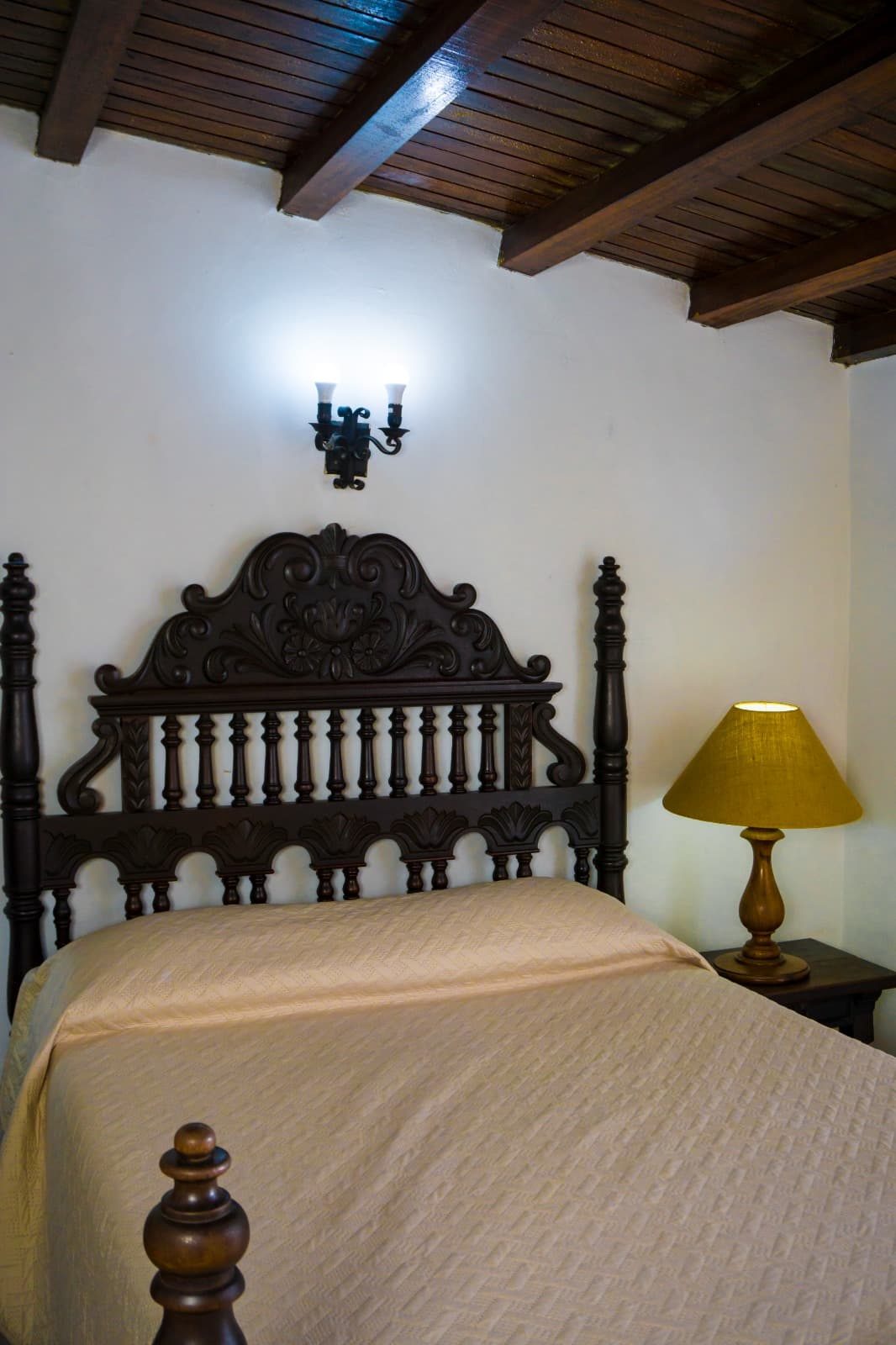 Familiar (Pax 5) -  Baja Hortensia miniatura 6