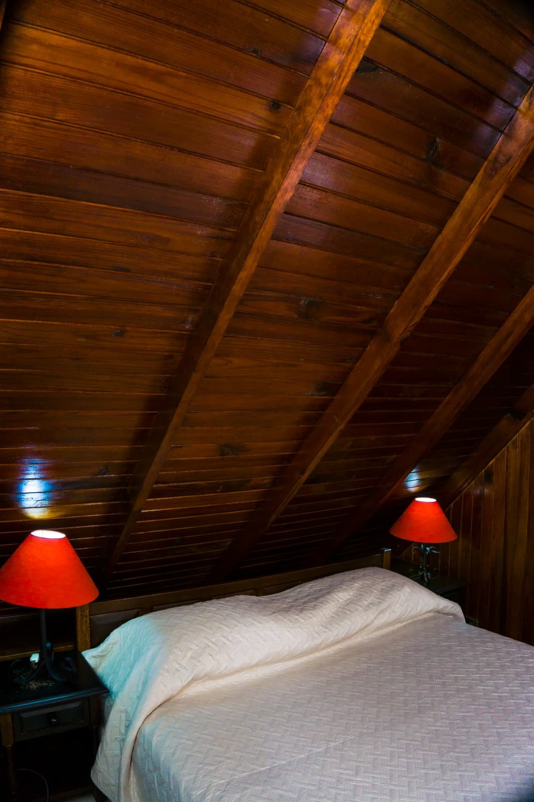 Familiar (Pax 5) -  Orquídea miniatura 5