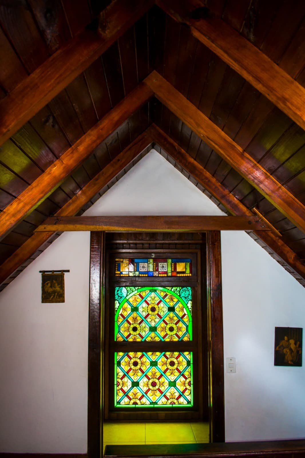 Familiar (Pax 5) -  Orquídea miniatura 7