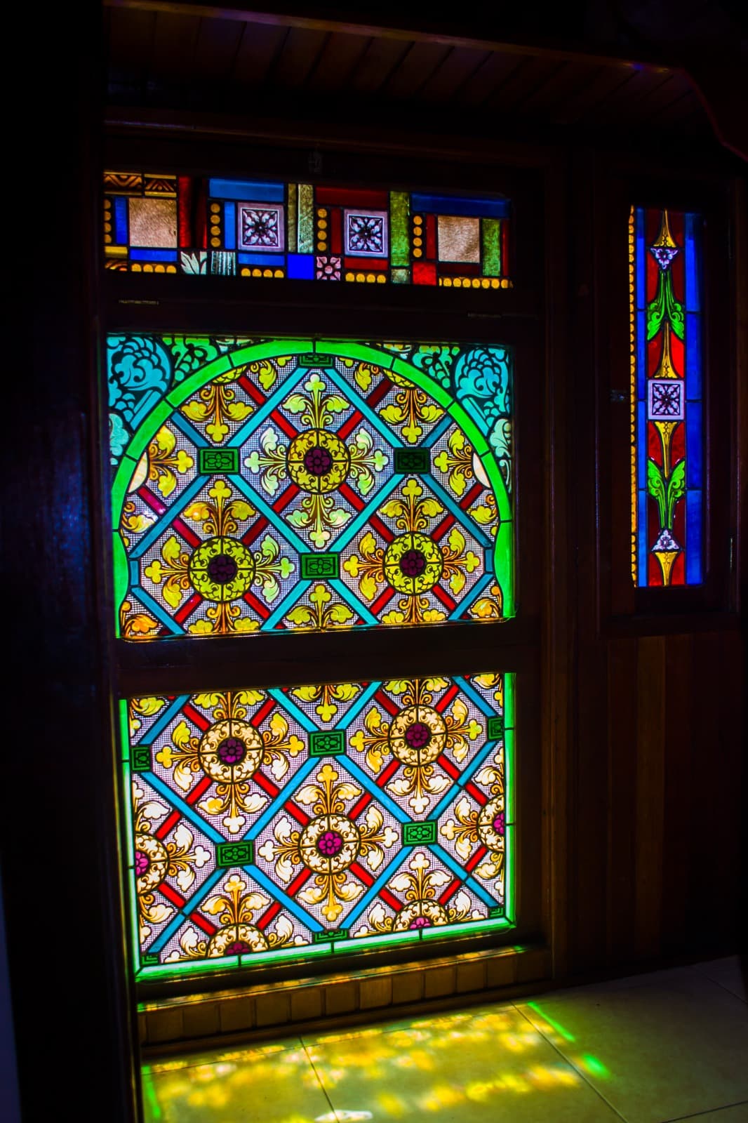 Familiar (Pax 5) -  Orquídea miniatura 8