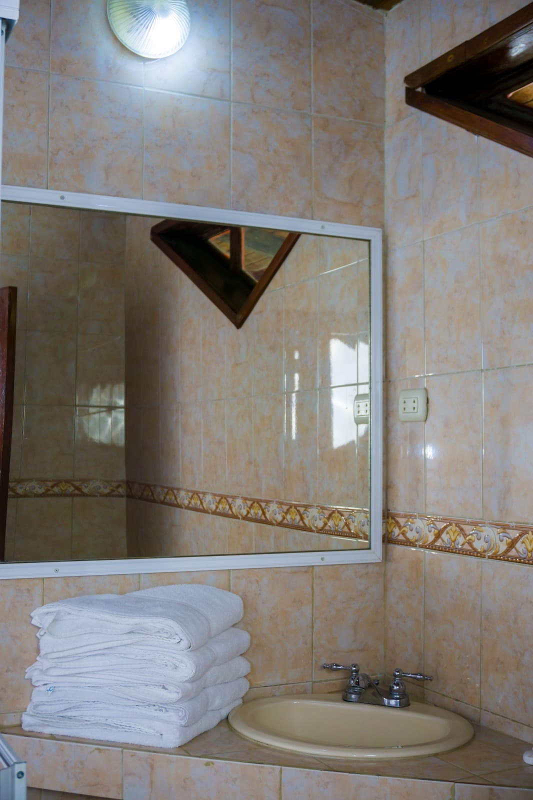 Familiar (Pax 5) -  Orquídea miniatura 9