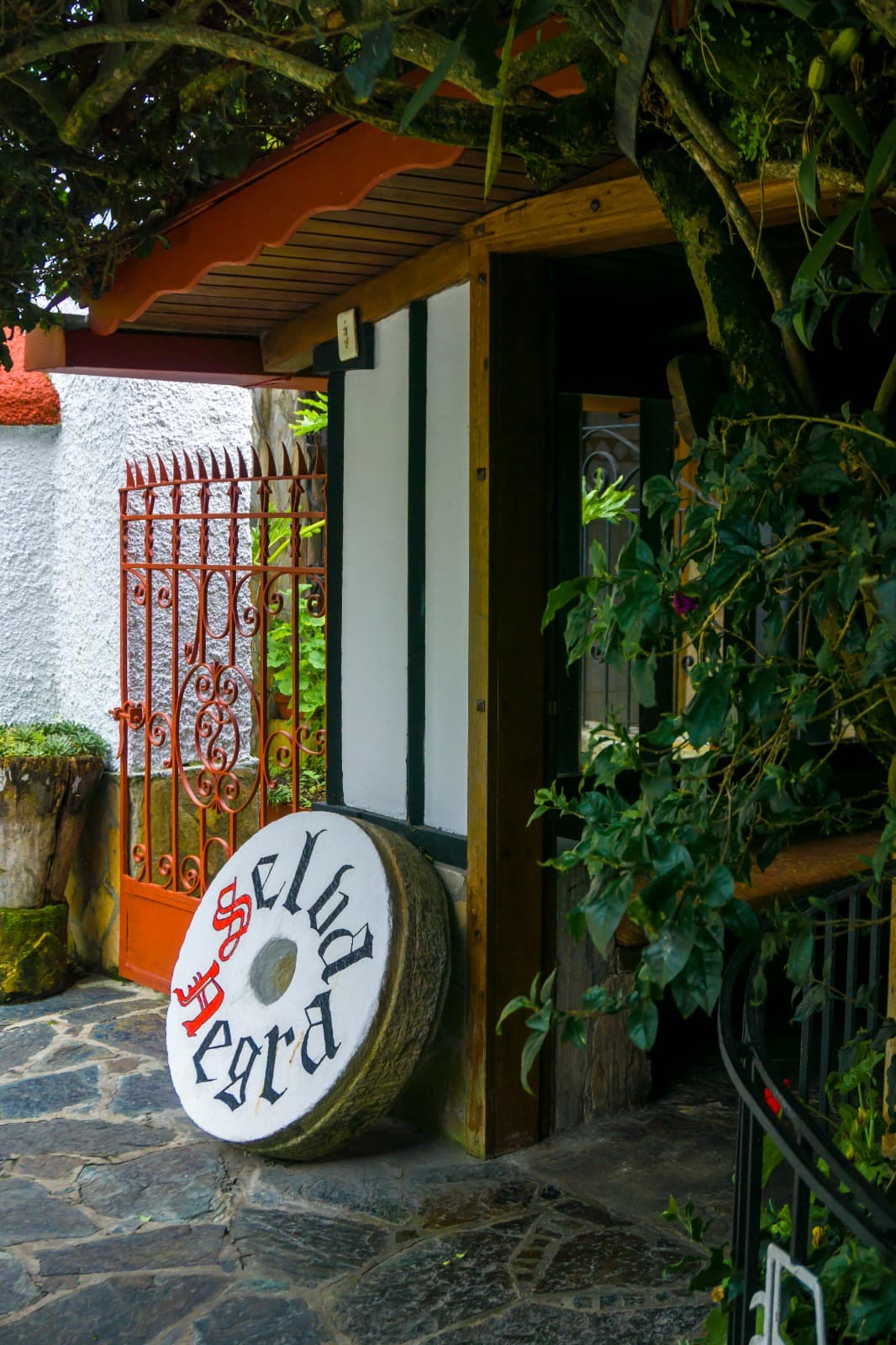 Familiar (Pax 5) -  Orquídea miniatura 10