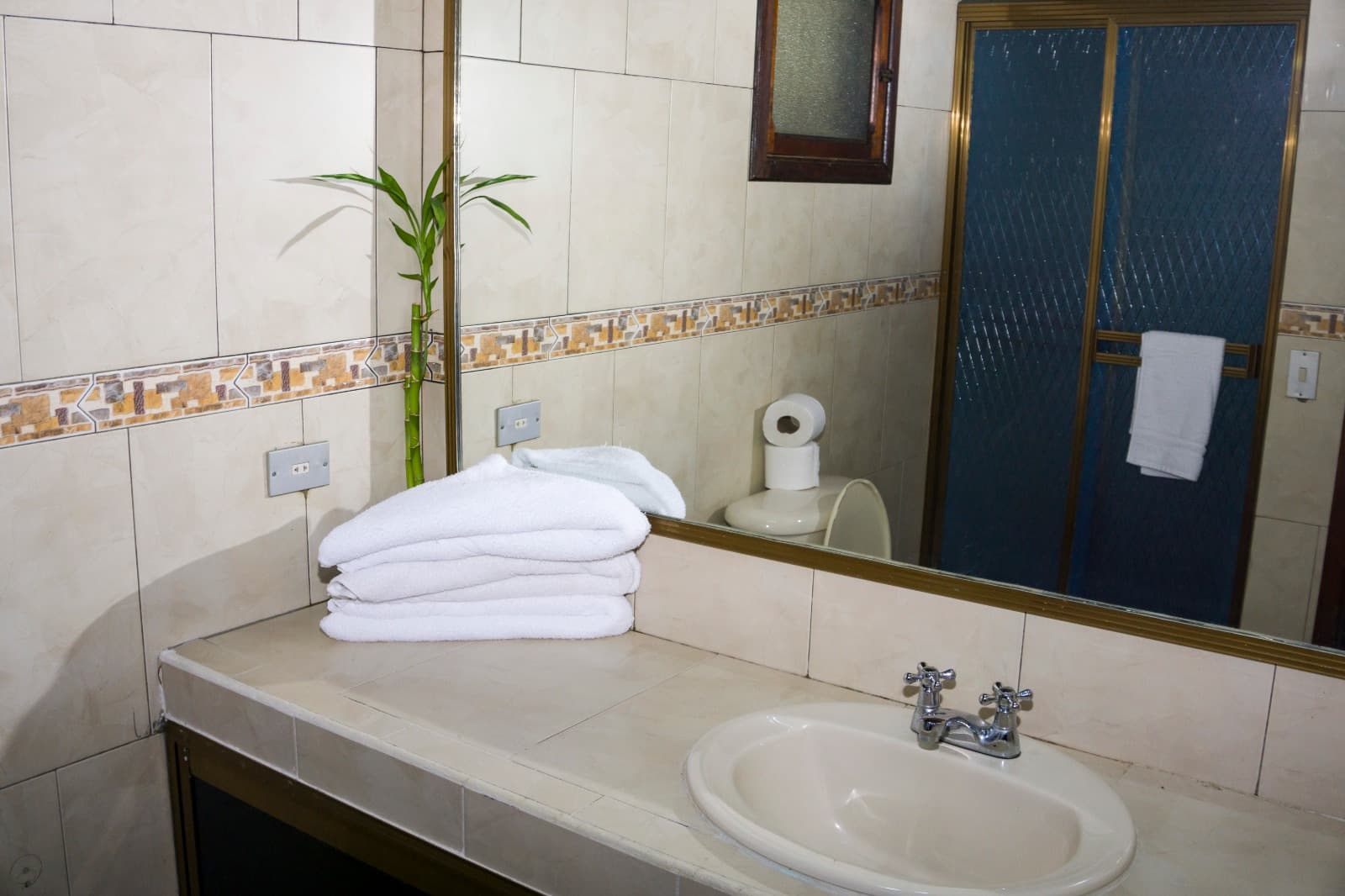 Familiar (Pax3) - Jardín Nuevo miniatura 7