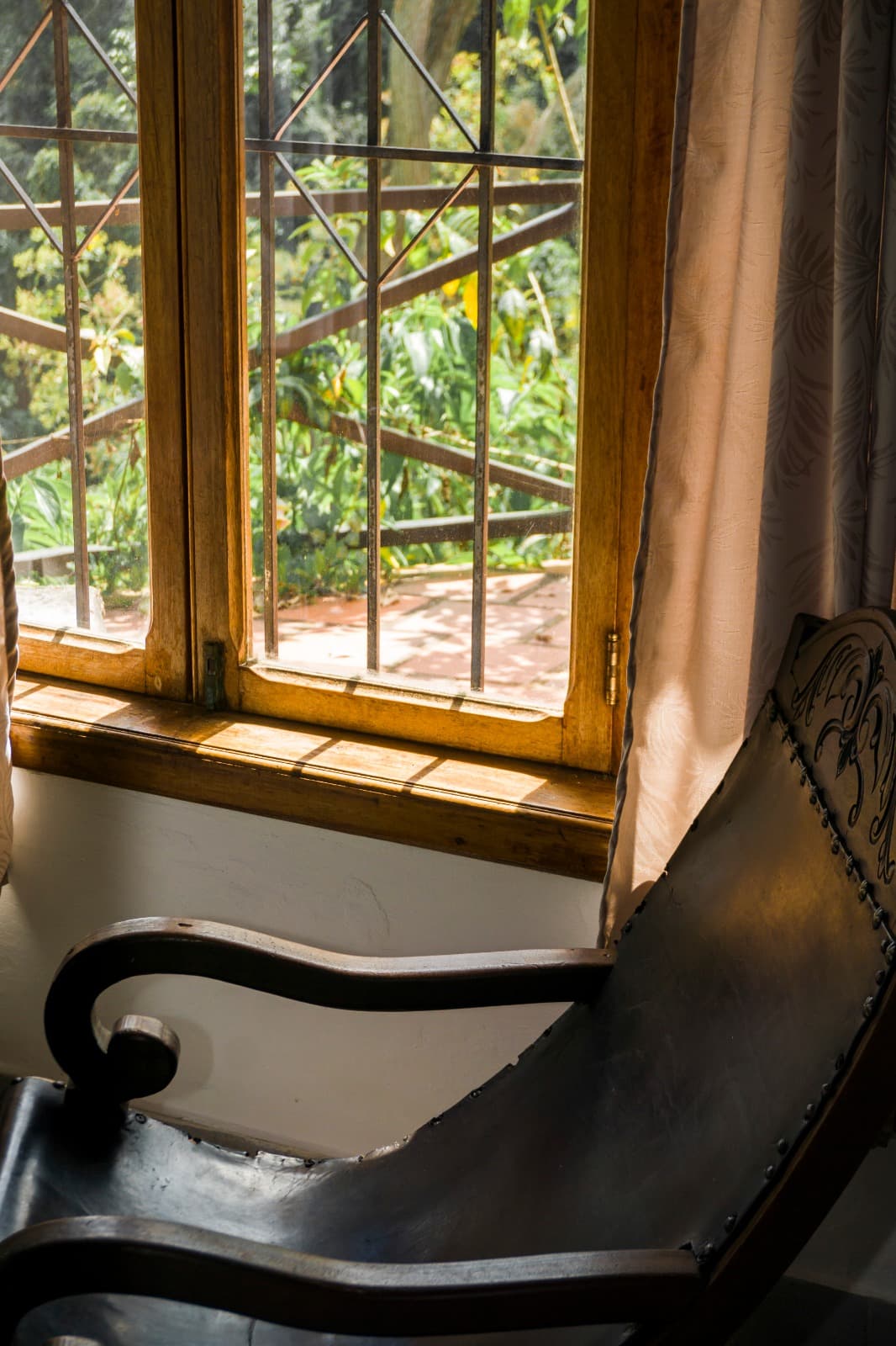 Familiar (Pax3) - Laurel Nuevo miniatura 3