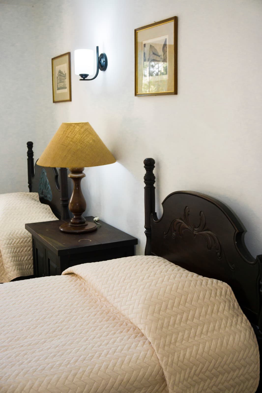 Familiar (Pax5) - Bajo pino miniatura 2