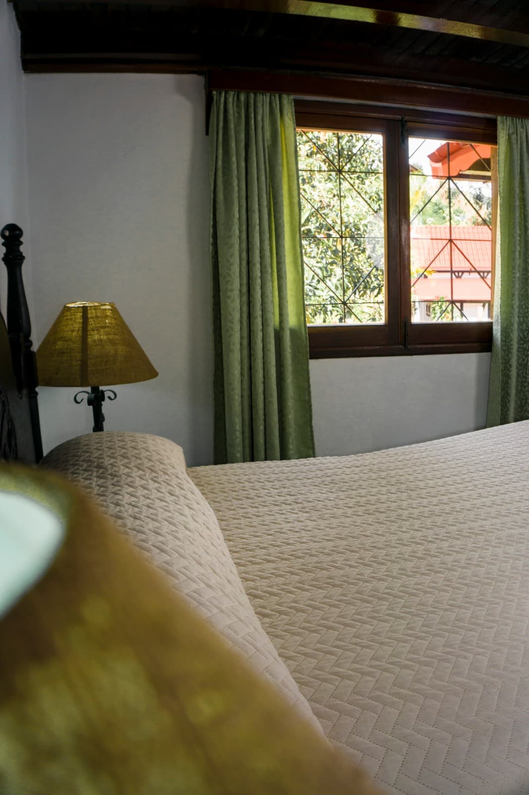 Familiar (Pax5) - Bajo pino miniatura 4