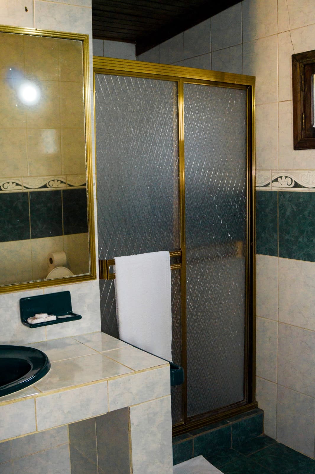 Familiar (Pax5) - Bajo pino miniatura 6