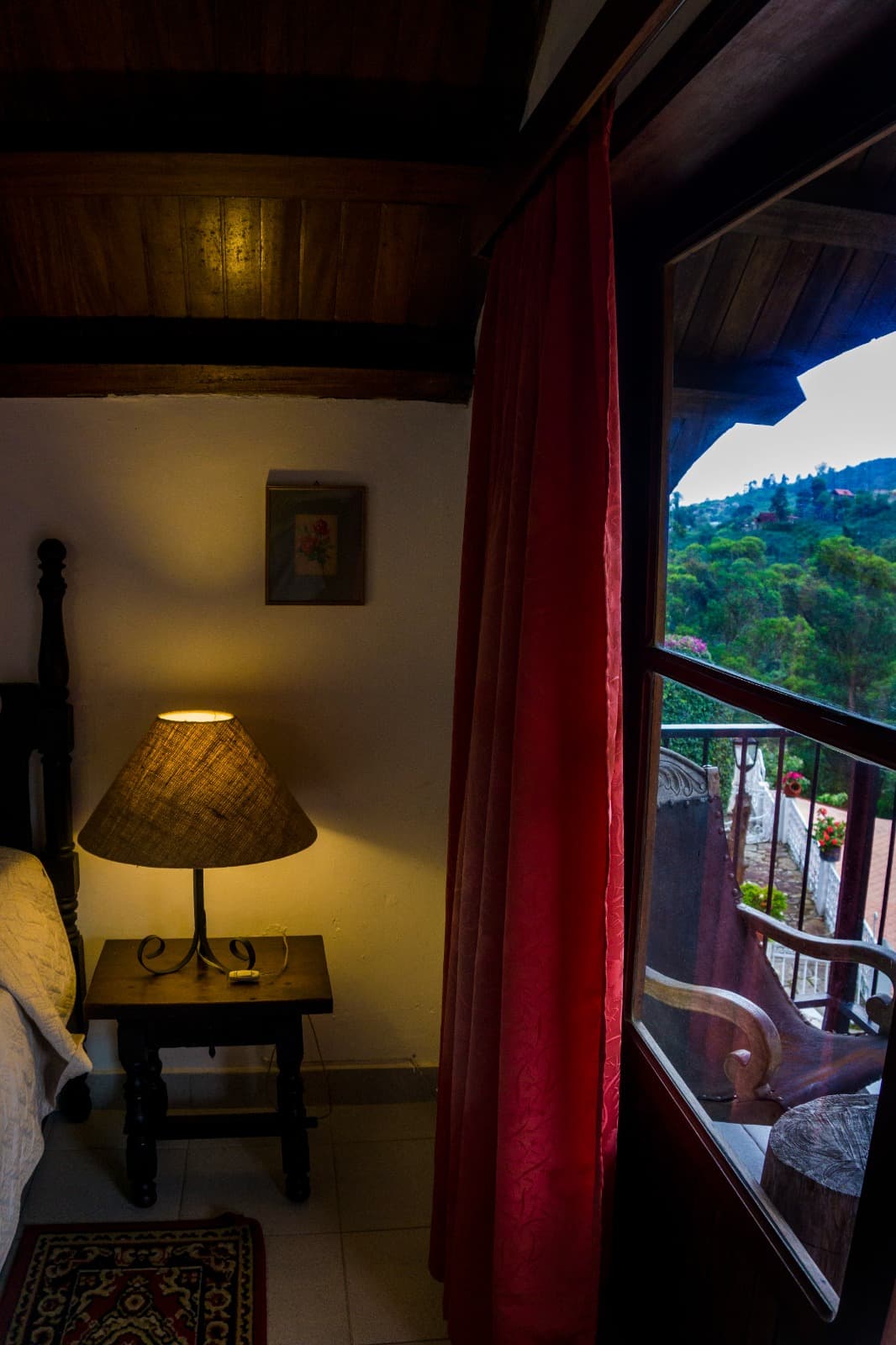 Standard -Alta Hortensia miniatura 3