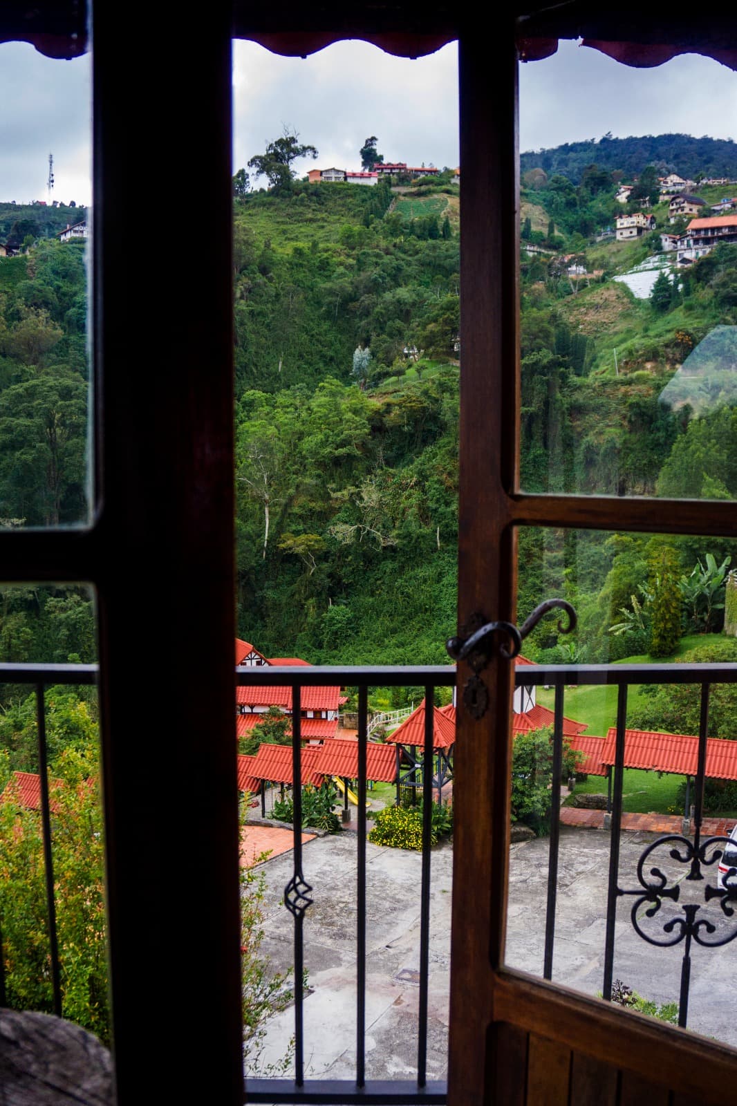 Standard -Alta Hortensia miniatura 4