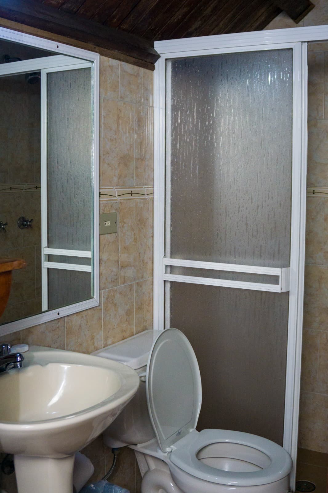 Standard -Alta Hortensia miniatura 5