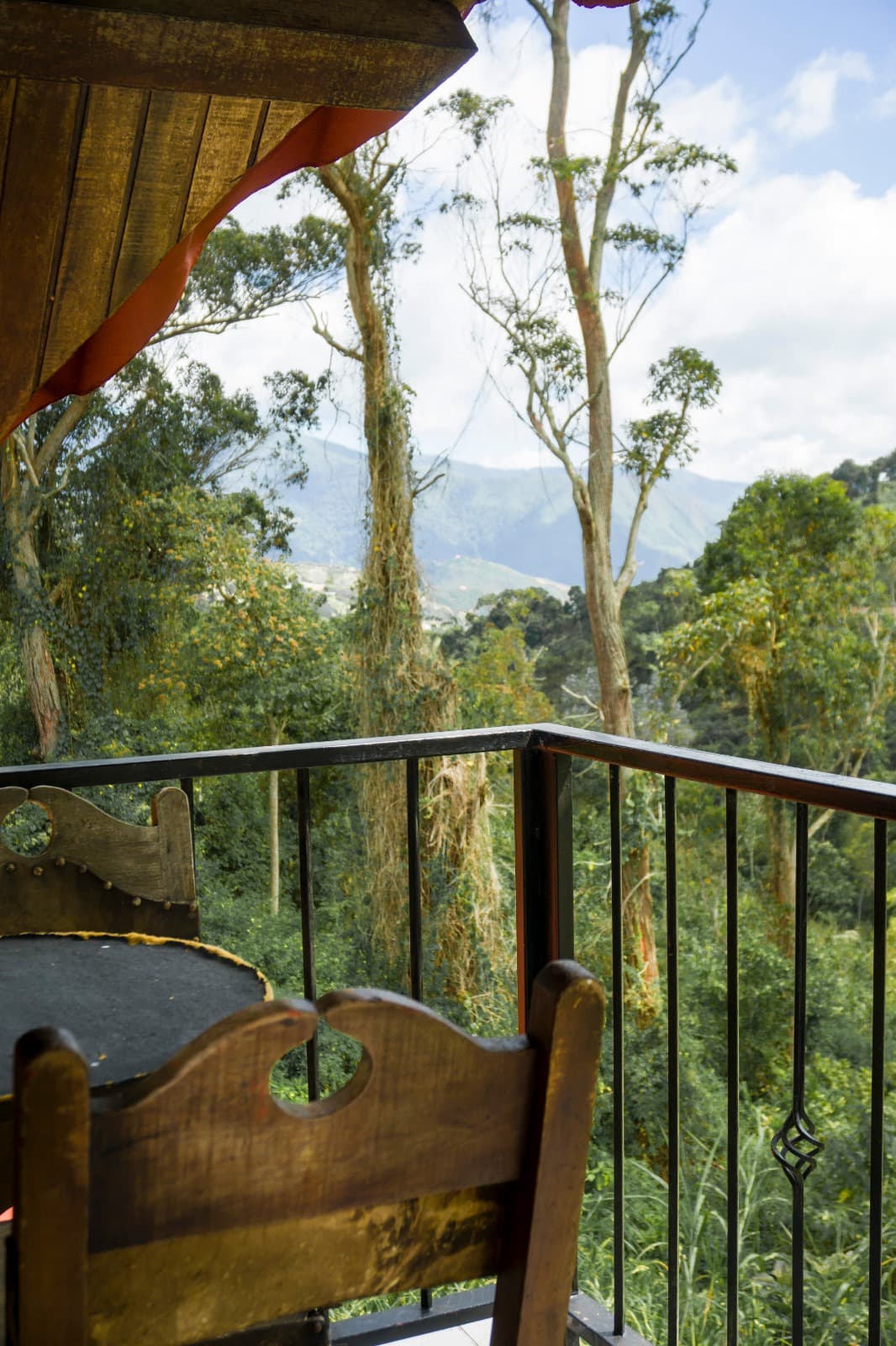 Standard - Alto Laurel miniatura 3