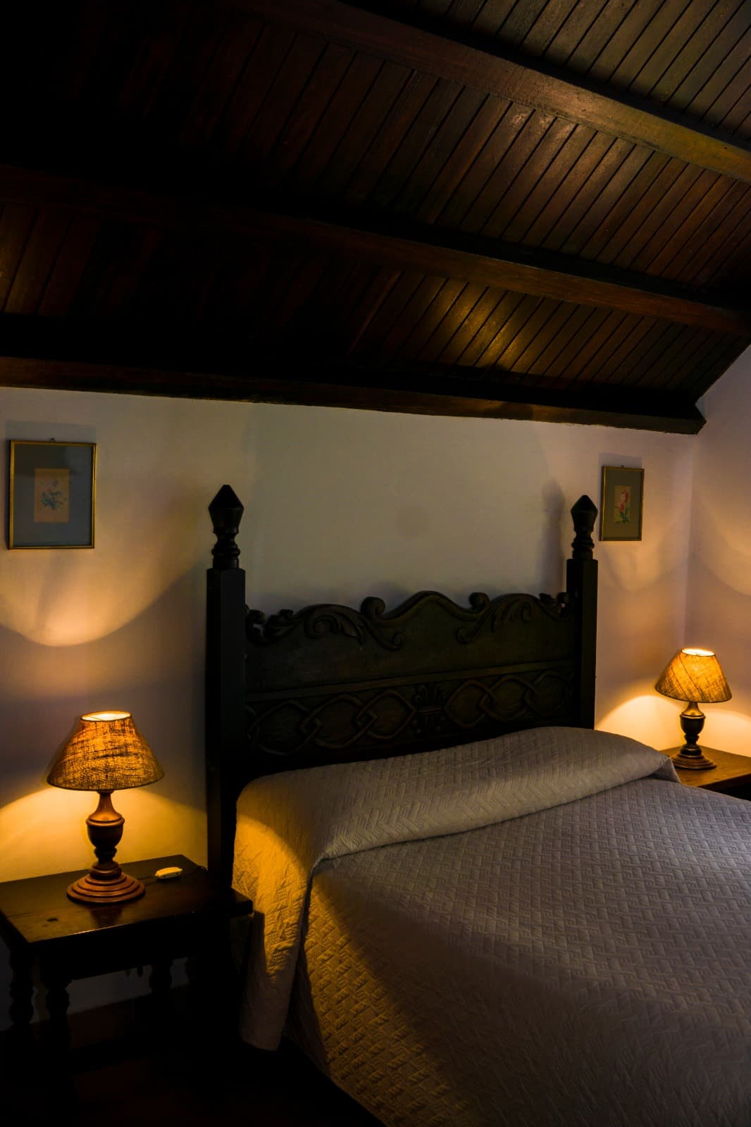 Standard - Alto Valle miniatura 2