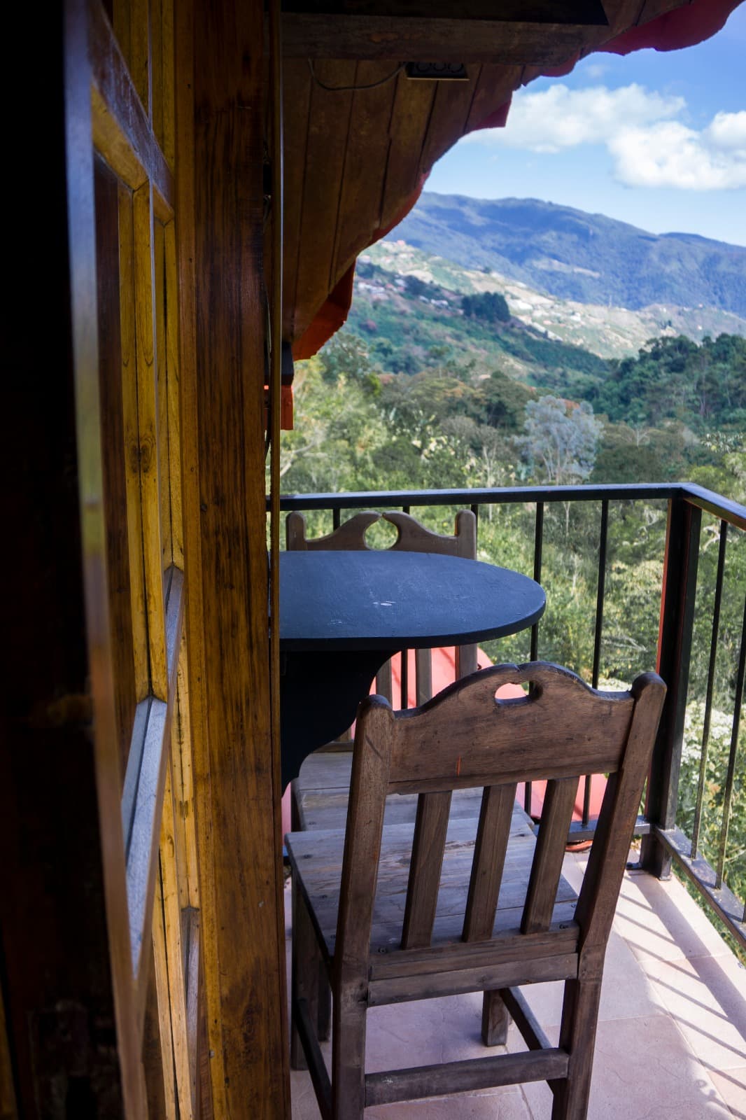 Standard - Alto Valle miniatura 3