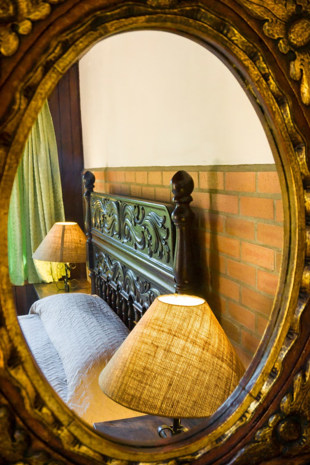 Standard - Begonia miniatura 5