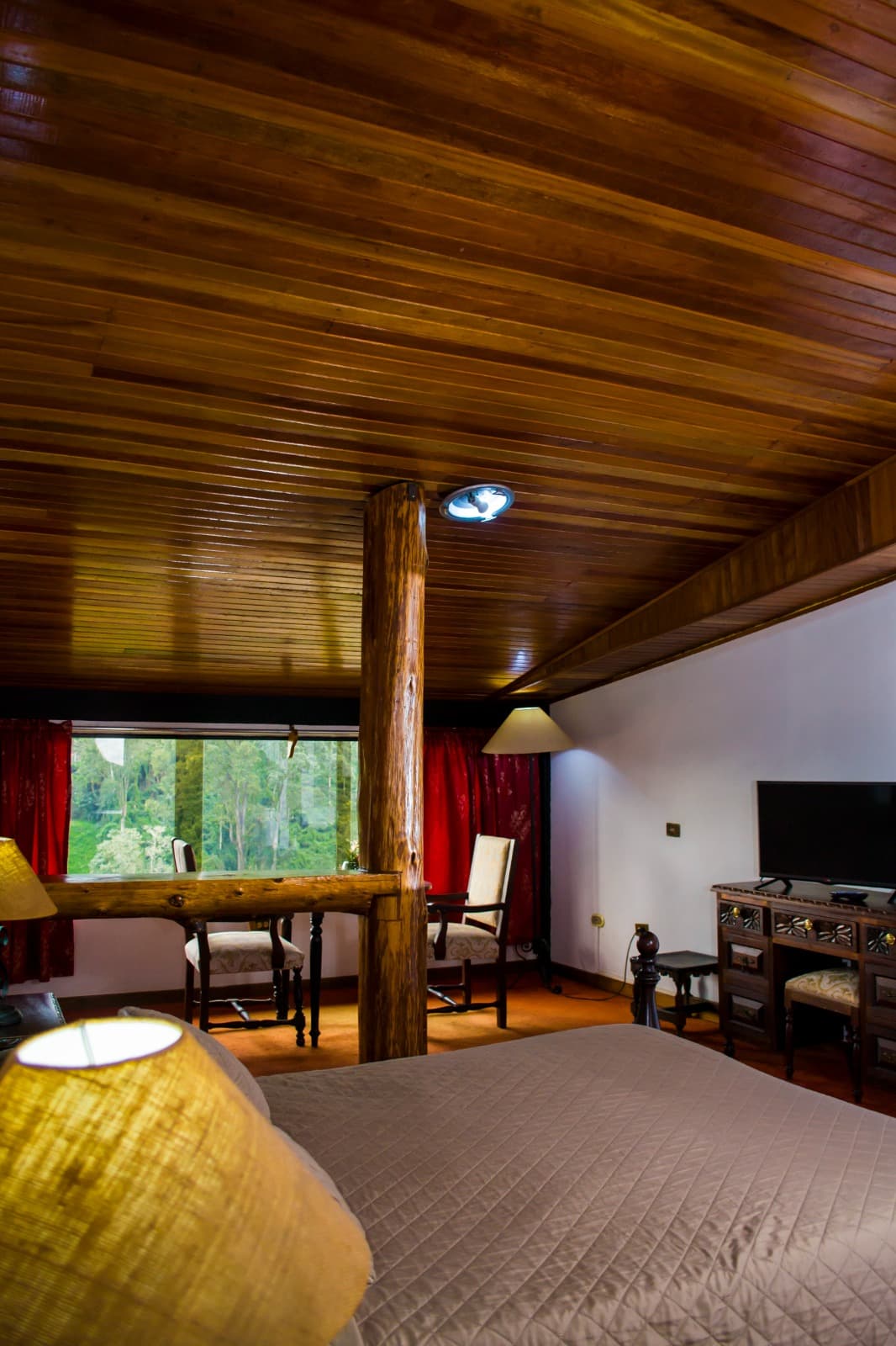 Standard - Bromelia miniatura 2