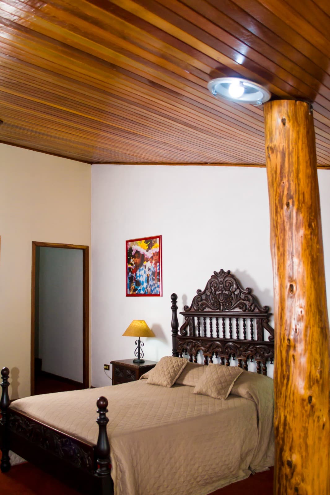 Standard - Bromelia miniatura 3