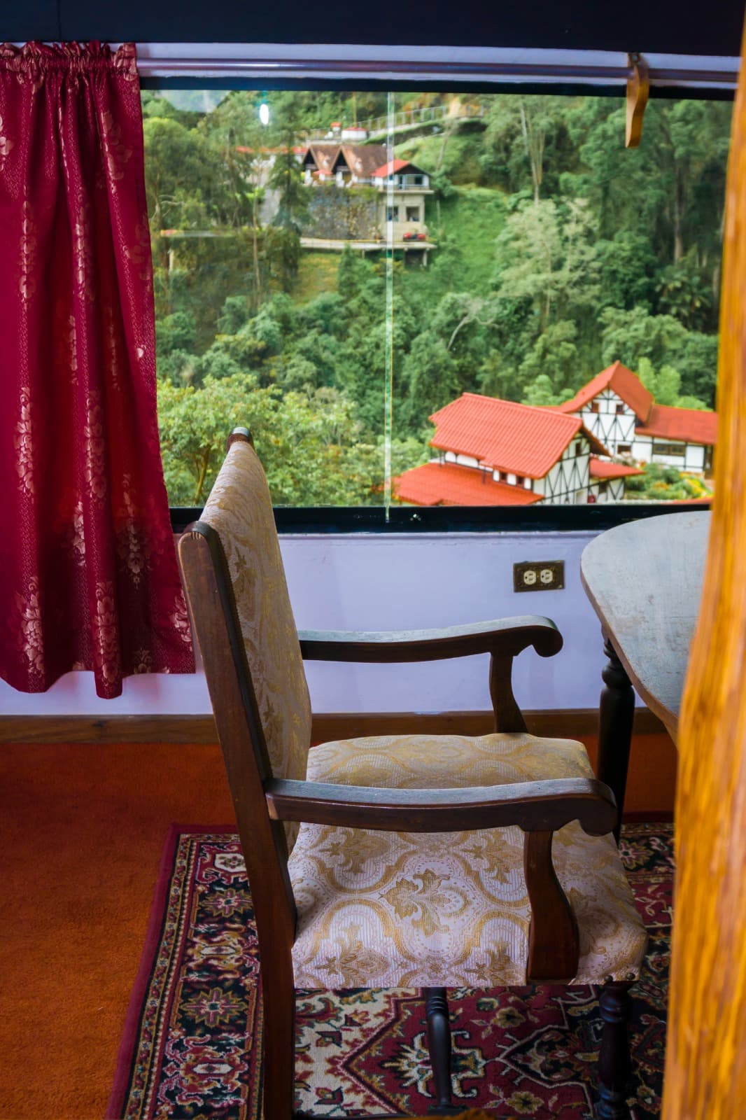 Standard - Bromelia miniatura 4