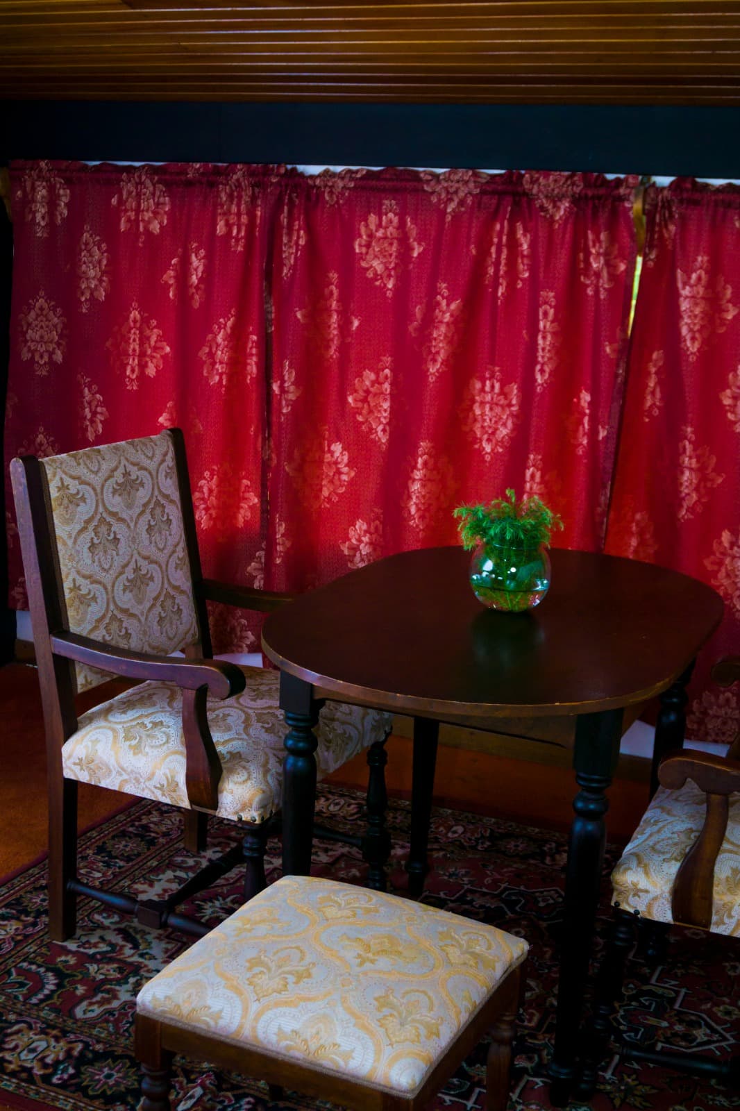 Standard - Bromelia miniatura 5