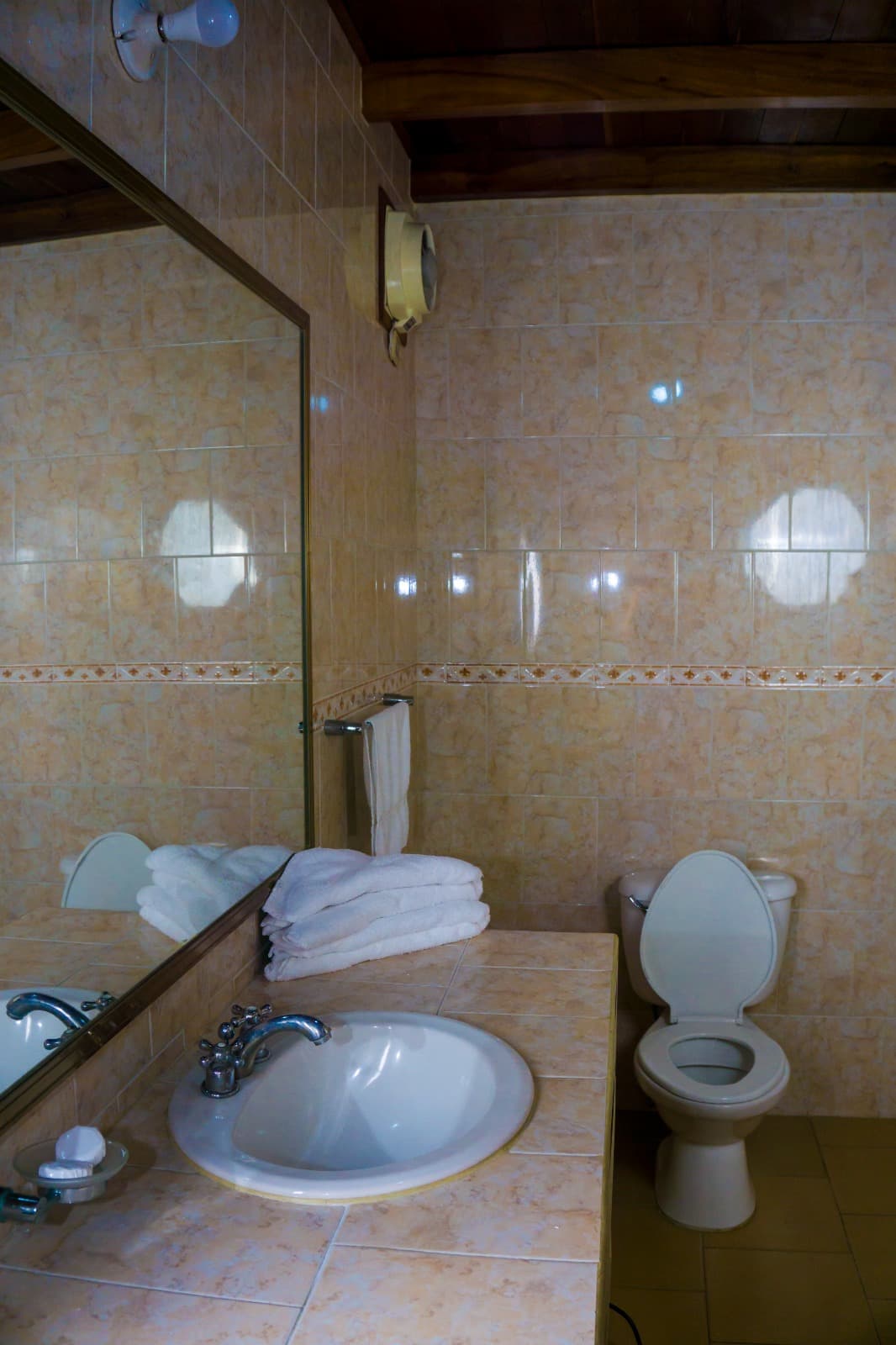 Standard - Bromelia miniatura 6