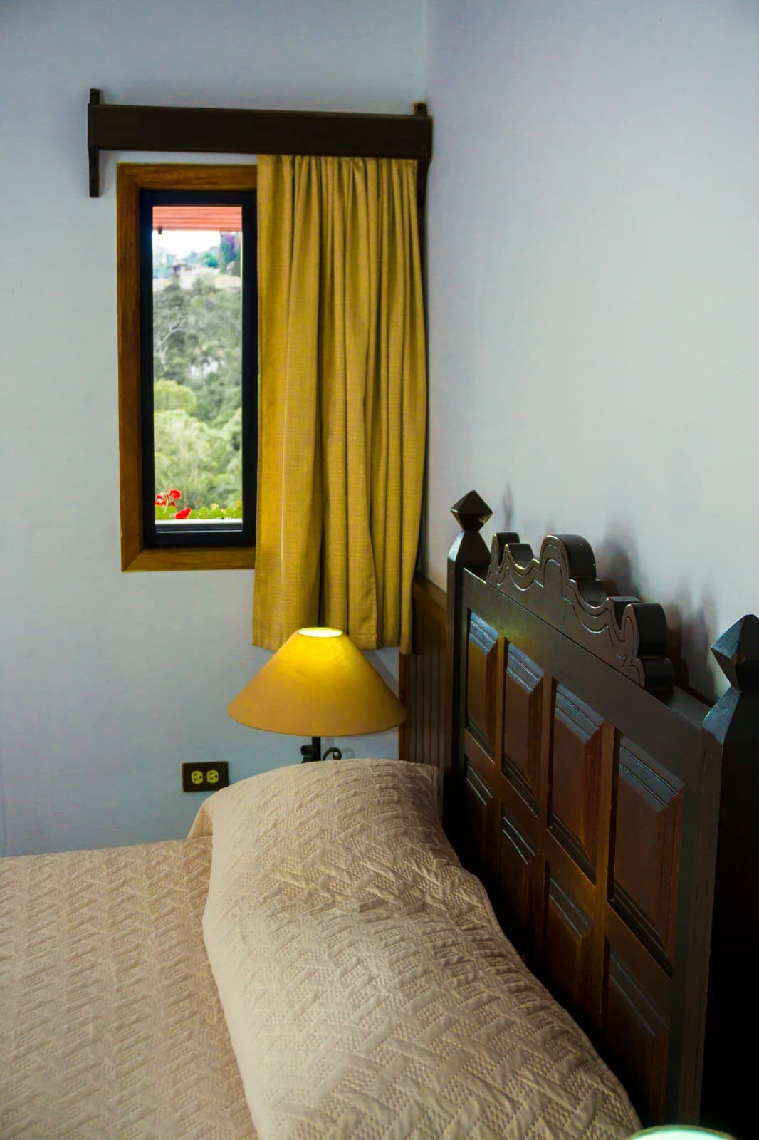 Standard - Clavel miniatura 2