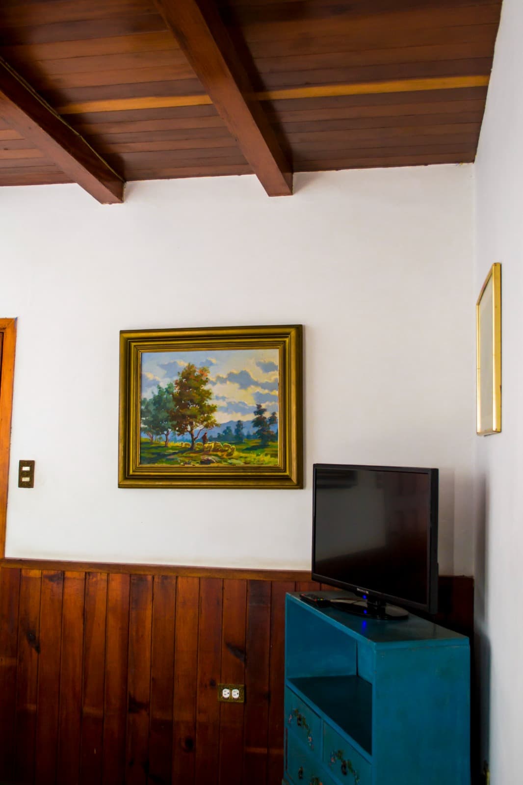 Standard - Clavel miniatura 3