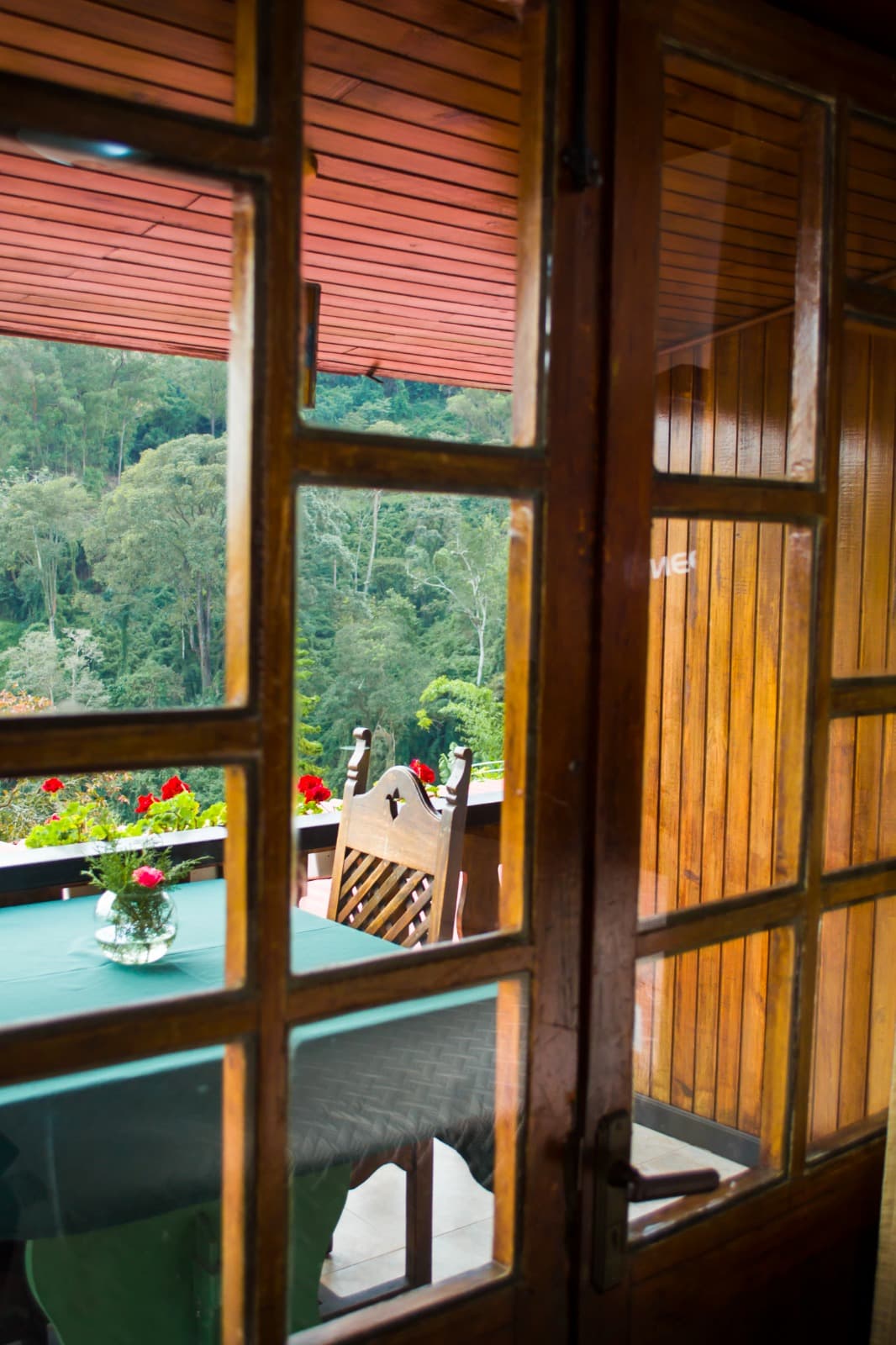 Standard - Clavel miniatura 4