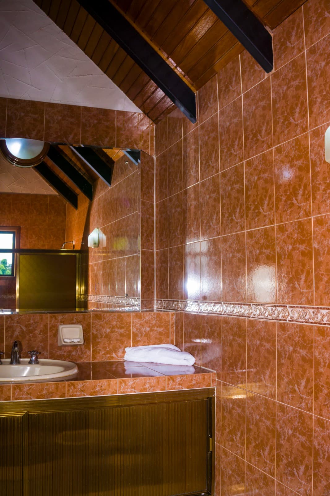 Standard - Clavel miniatura 5