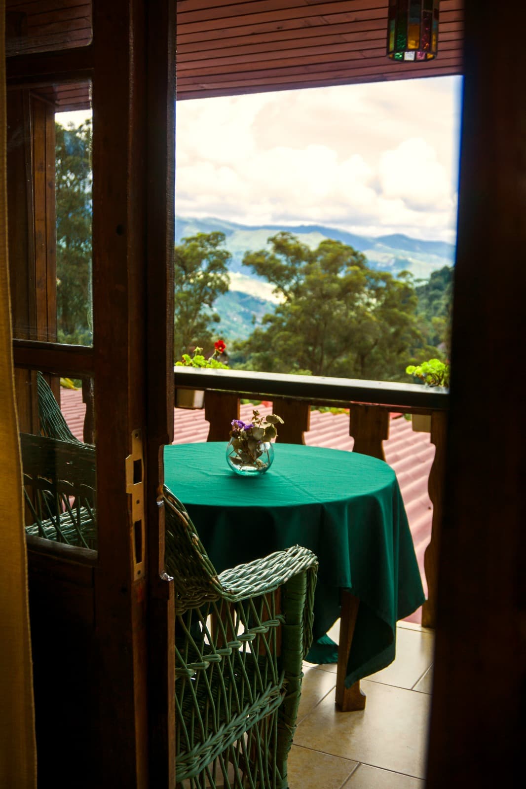 Standard - Margarita miniatura 3