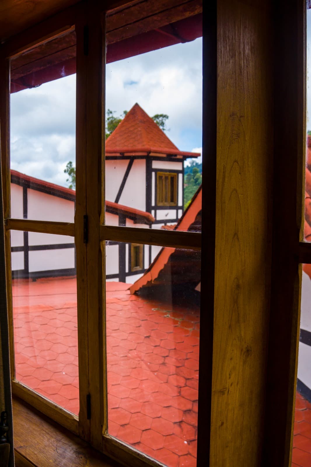 Standard - Nido miniatura 4