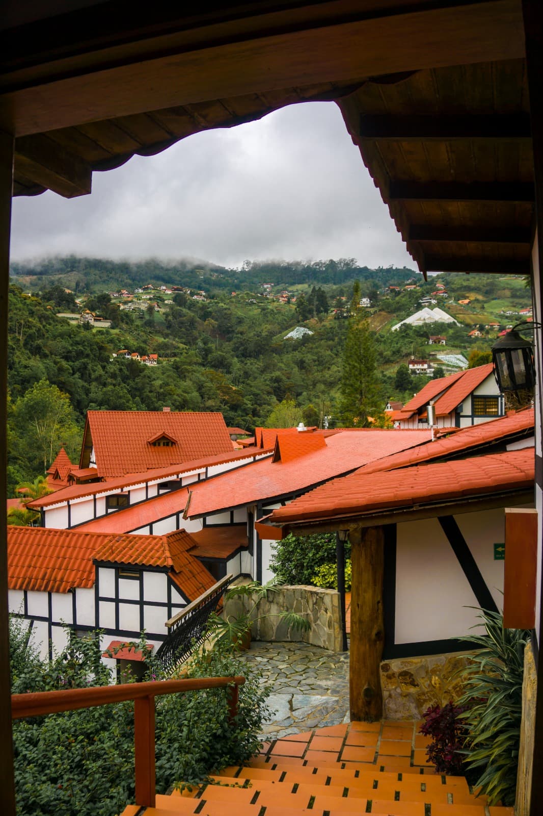 Standard - Nido miniatura 5