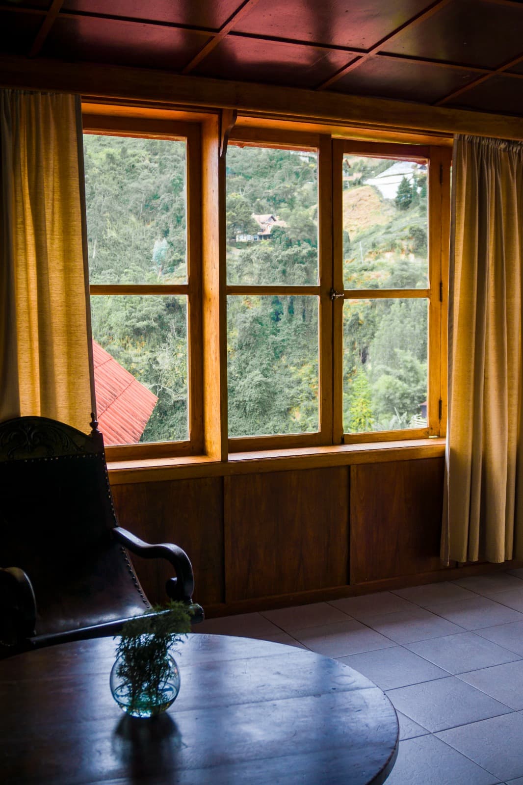 Standard - Nido miniatura 6