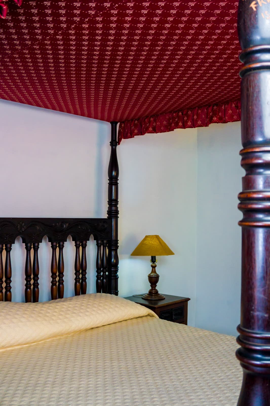 Standard - Nido miniatura 7