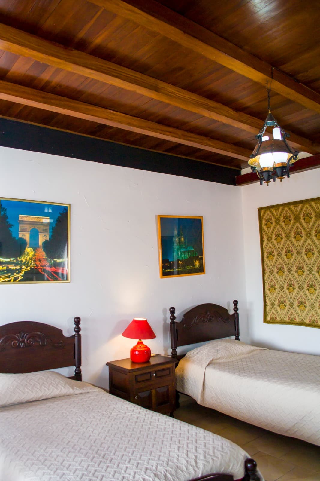 Standard - Pensamiento miniatura 3