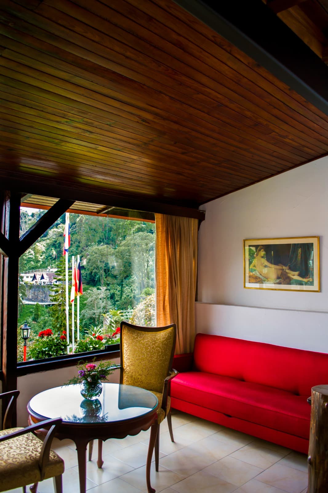 Standard - Pensamiento miniatura 5