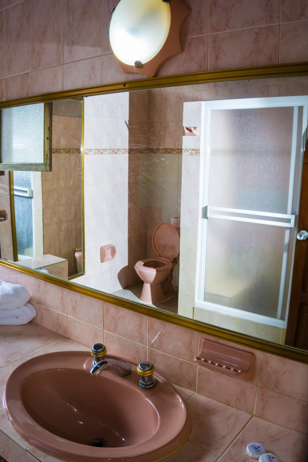 Standard - Romántica miniatura 5