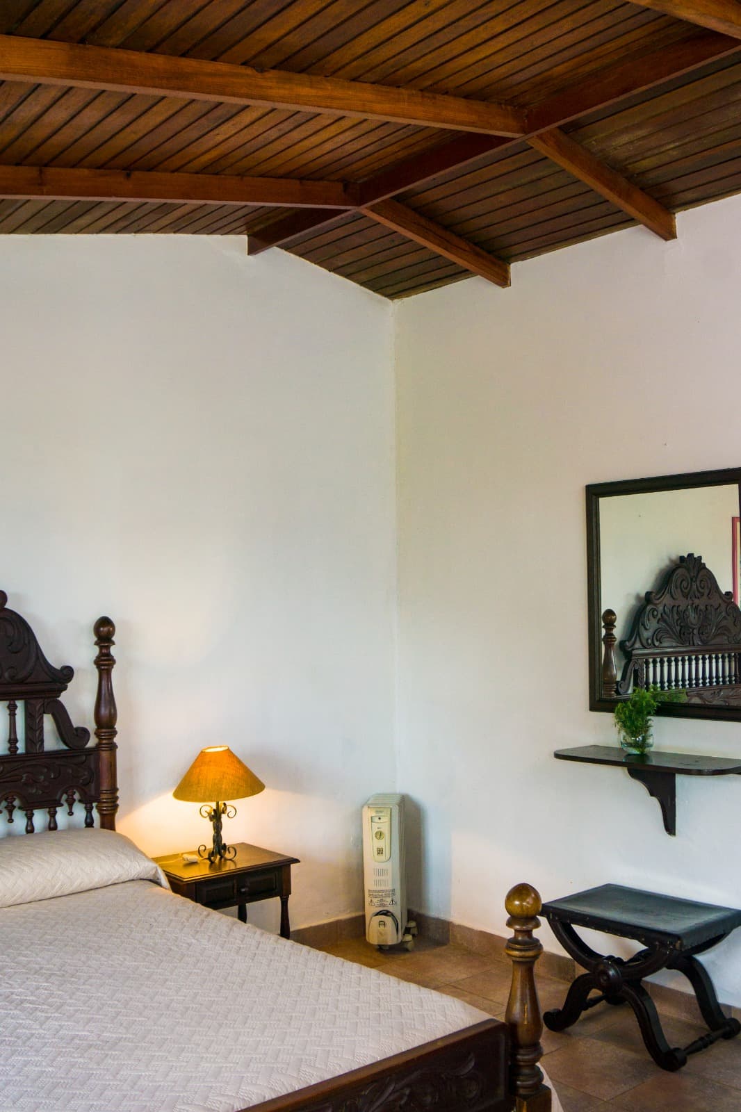 Standard - Samba miniatura 2