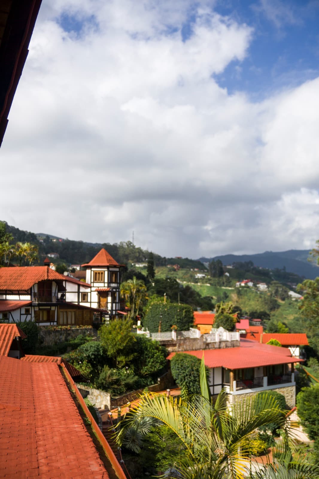 Suite - Cigüeña miniatura 5