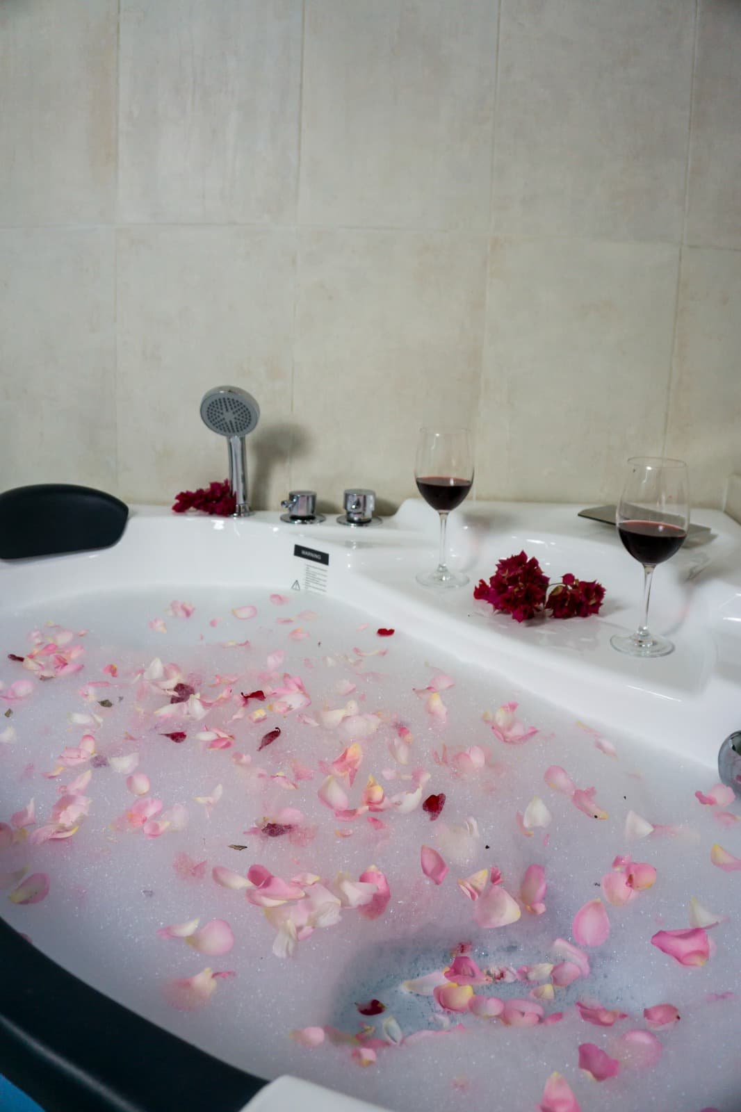 Suite - Cigüeña miniatura 9